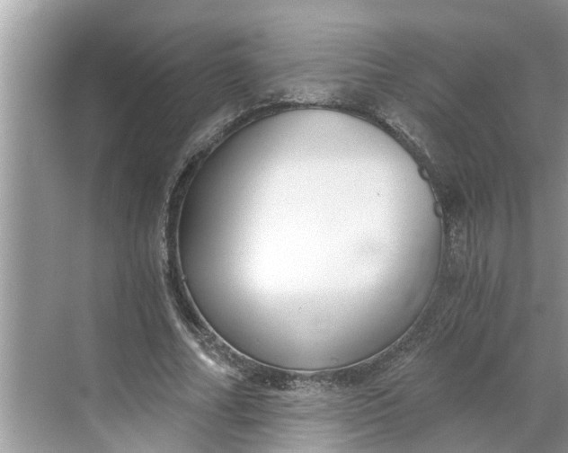 X0000068750682200605121610