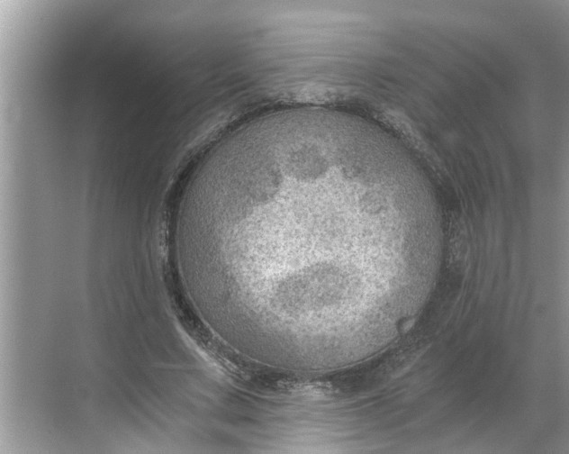 X0000068750683200605121610