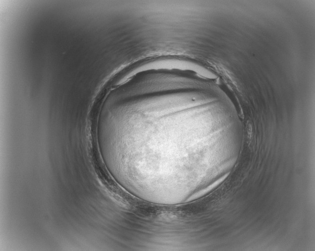 X0000068750684200605121610