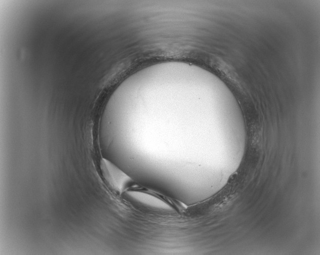 X0000068750685200605121610