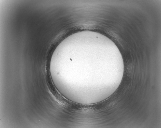 X0000068750686200605121610