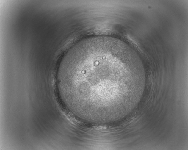 X0000068750687200605121610