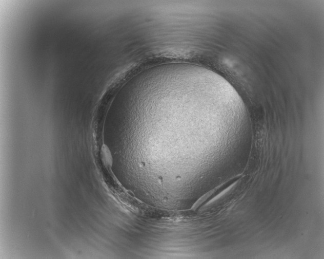 X0000068750688200605121610