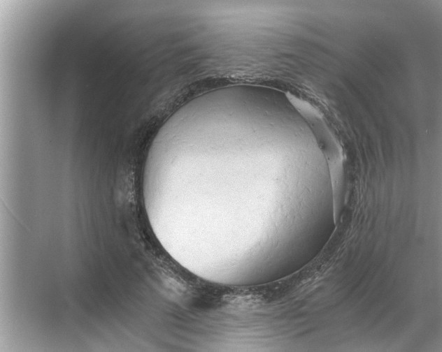 X0000068750689200605121610