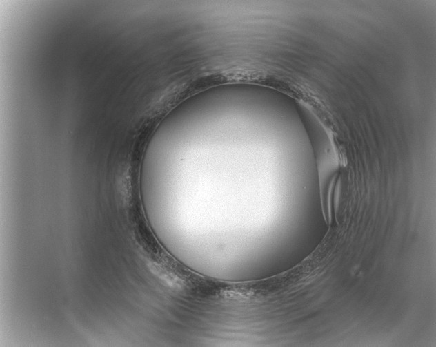 X0000068750690200605121610