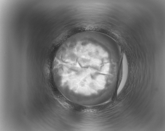 X0000068750691200605121610