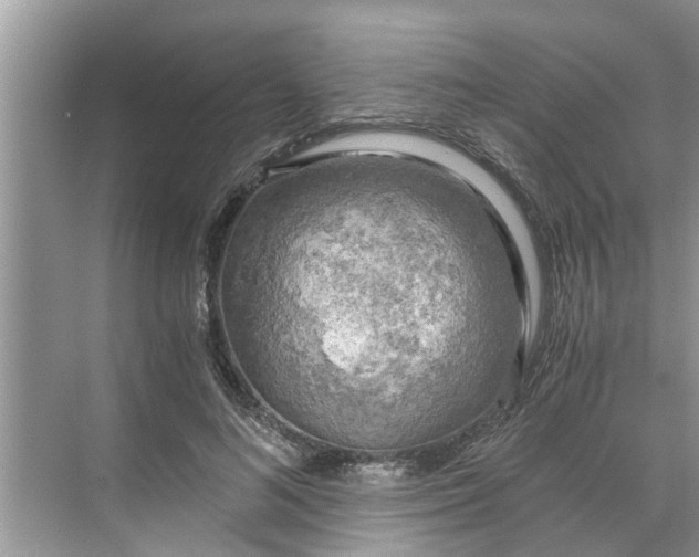 X0000068750692200605121610