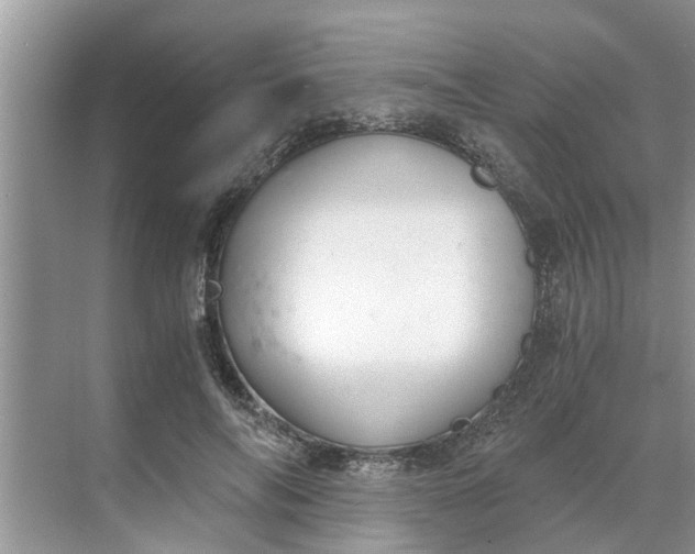 X0000068750694200605121610