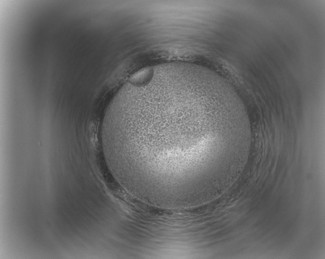 X0000068750695200605121610