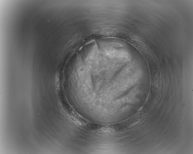 X0000068750696200605121610