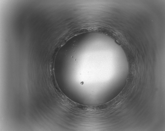 X0000068750697200605121610