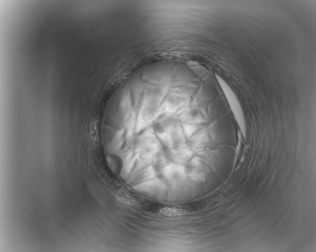 X0000068750699200605121610