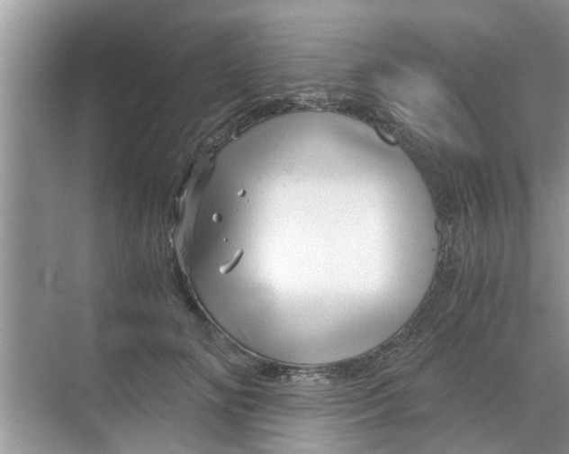 X0000068750702200605121610