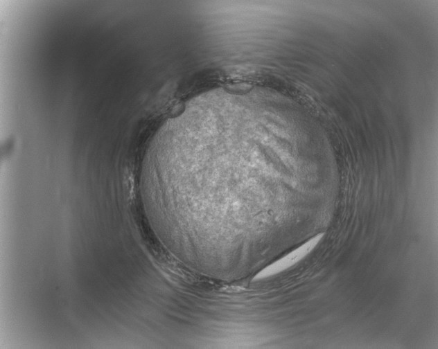 X0000068750703200605121610