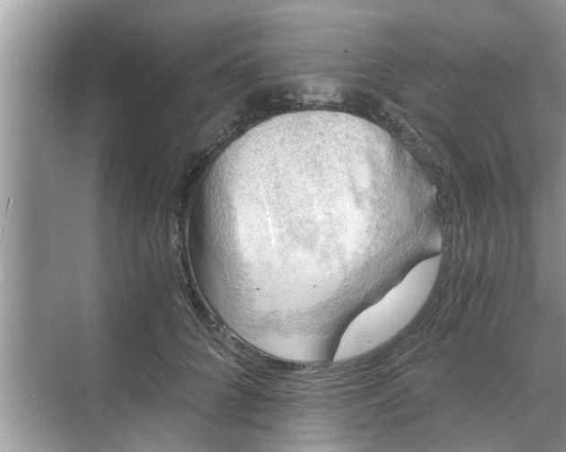 X0000068750704200605121610