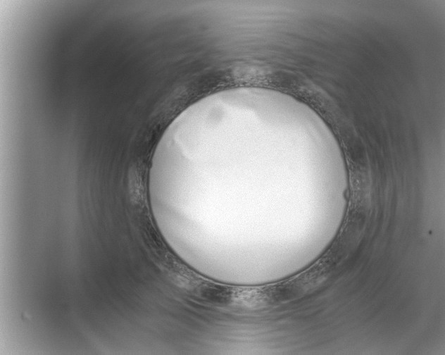 X0000068750705200605121610