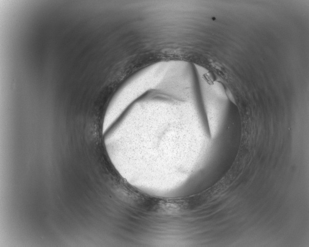 X0000068750706200605121610