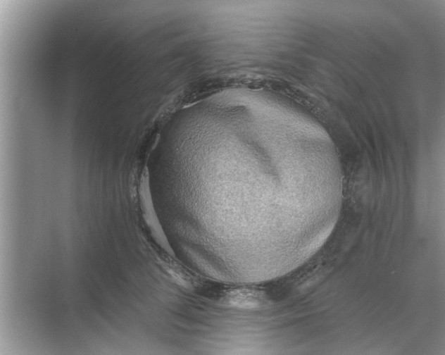 X0000068750708200605121610