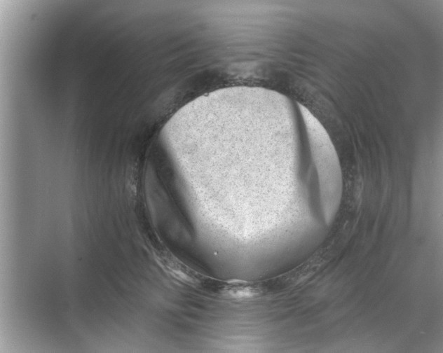 X0000068750710200605121610