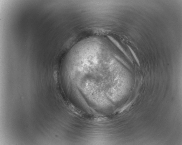 X0000068750716200605121610