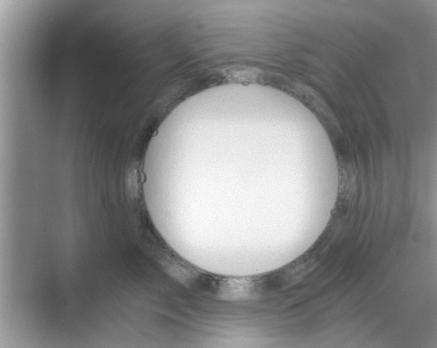 X0000068750717200605121610