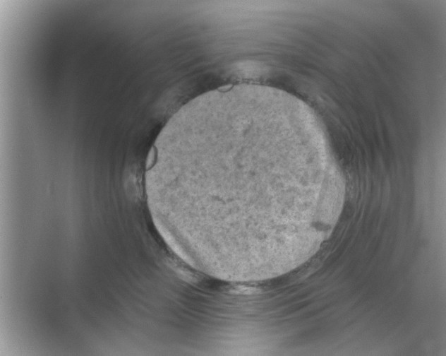 X0000068750718200605121610