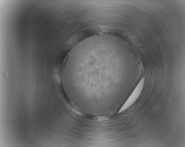 X0000068750719200605121610