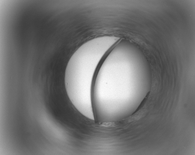 X0000068750720200605121610