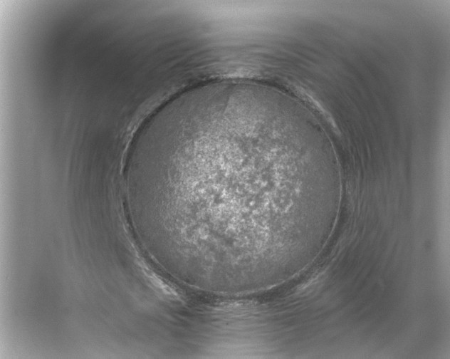 X0000068750721200605121609