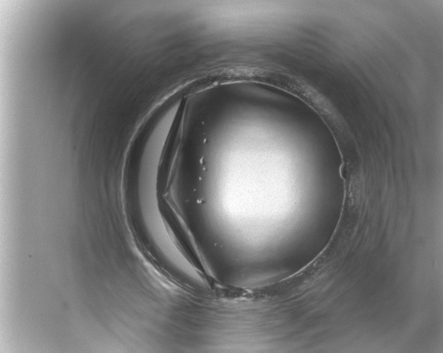 X0000068750722200605121609