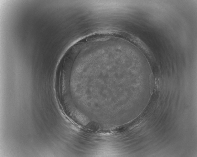 X0000068750724200605121609