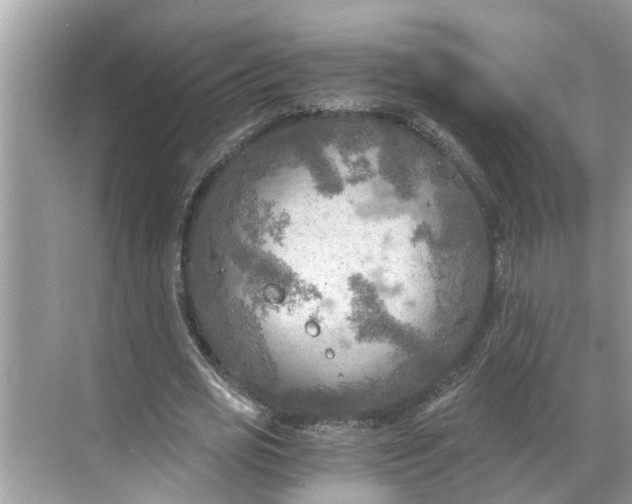 X0000068750725200605121609