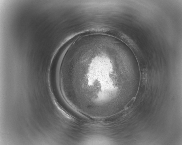 X0000068750726200605121609