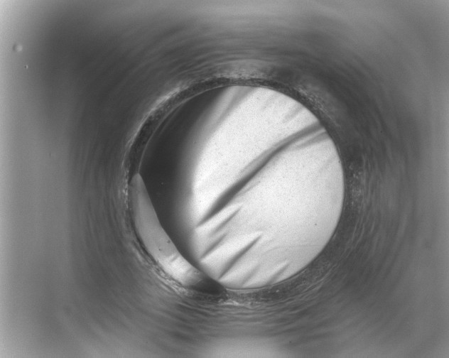 X0000068750727200605121609