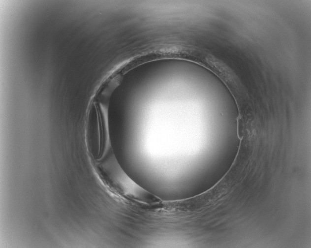 X0000068750728200605121609