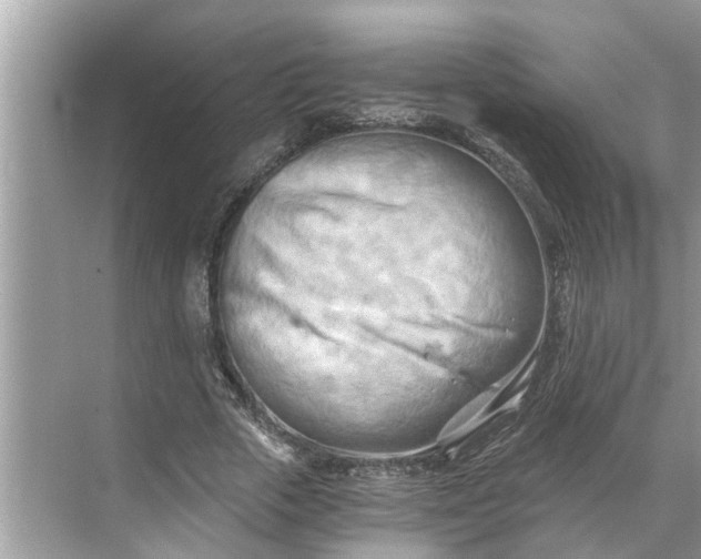 X0000068750729200605121609