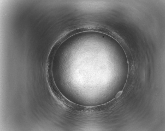 X0000068750730200605121609