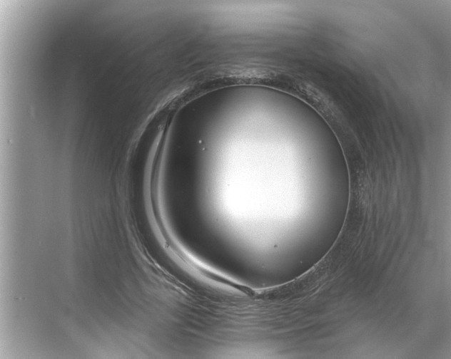 X0000068750731200605121609