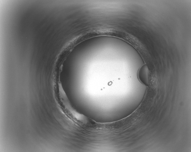 X0000068750732200605121609