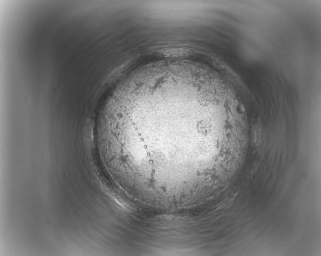 X0000068750733200605121609