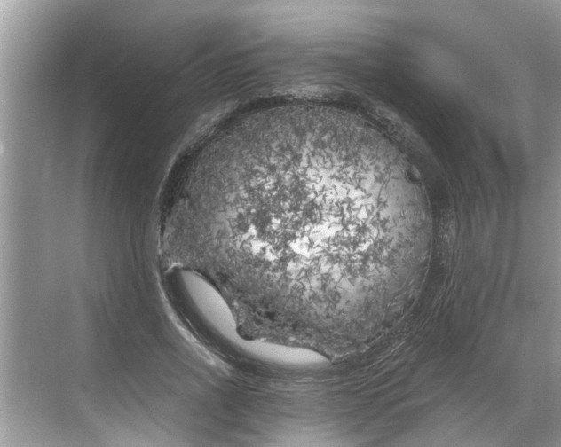 X0000068750734200605121609