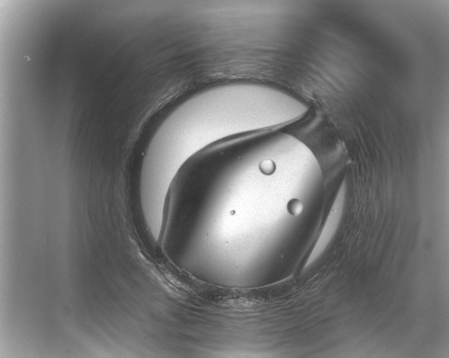 X0000068750735200605121609