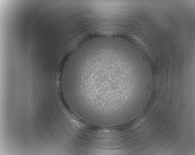 X0000068750737200605121609