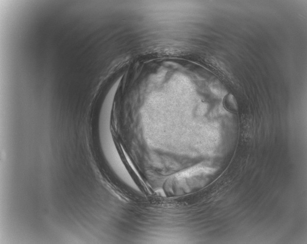 X0000068750738200605121609