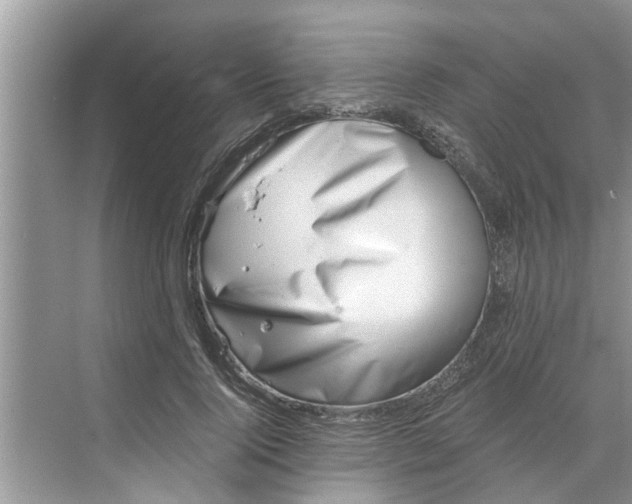 X0000068750740200605121609