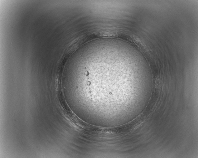 X0000068750741200605121609