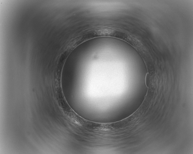 X0000068750743200605121609