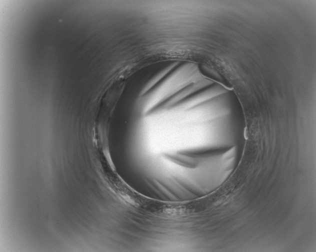 X0000068750744200605121609