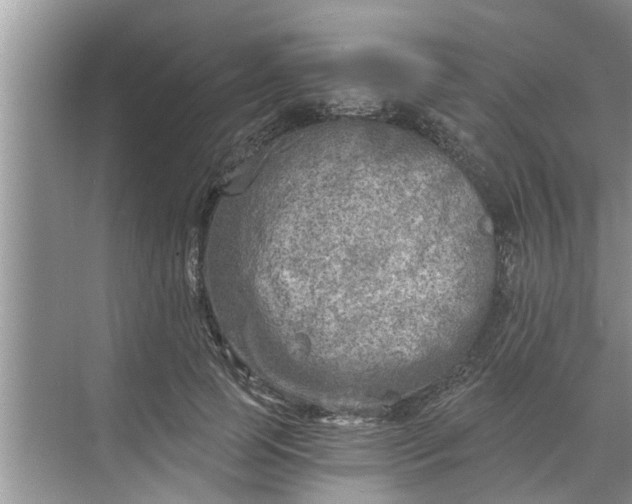 X0000068750745200605121609