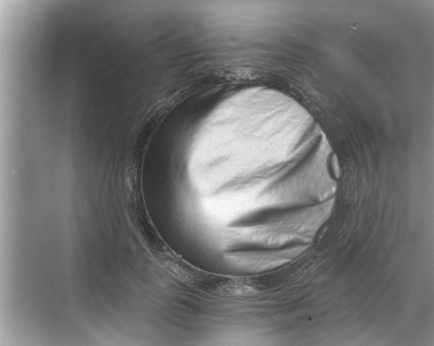 X0000068750747200605121609